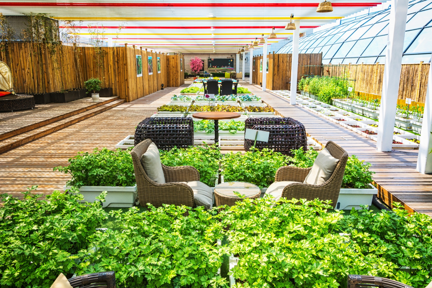 Home, Garden & Furniture